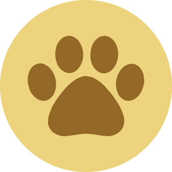 Catizen